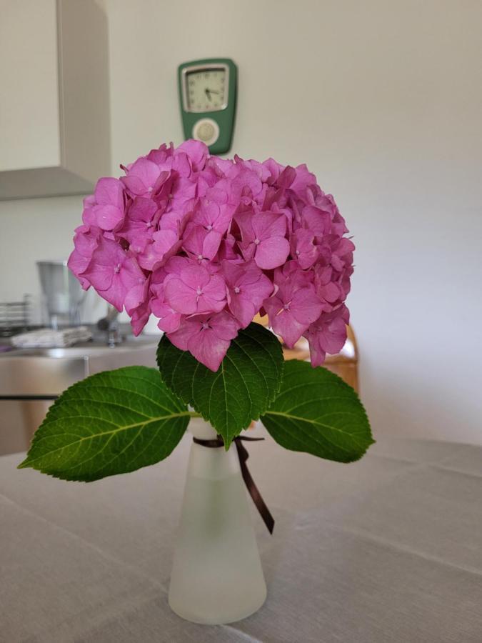 Ferienwohnung Sonnenschein Obernkirchen エクステリア 写真